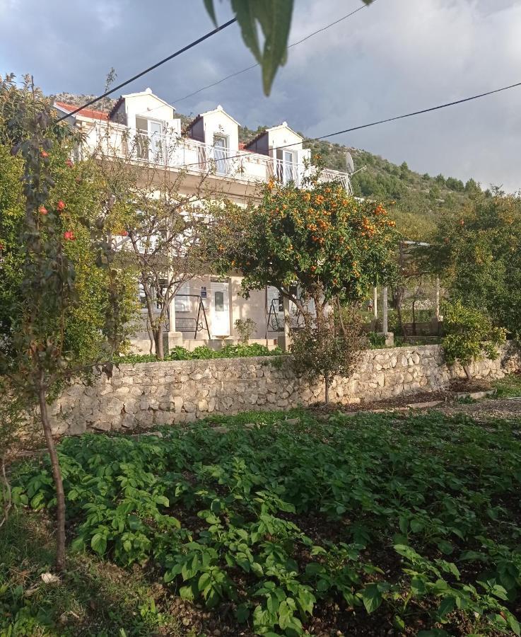Apartment Lucija With Sea View Dubrovnik Exterior photo